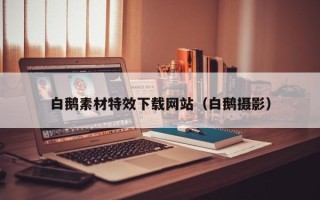 长葛白鹅素材特效下载网站（白鹅摄影）